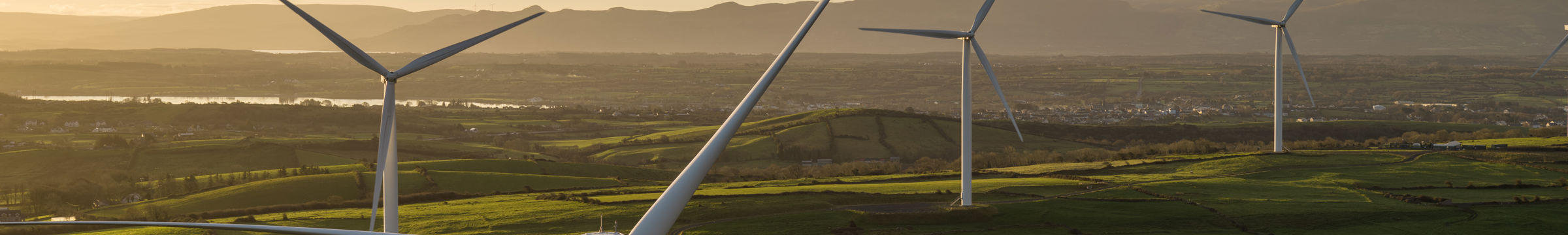 Wind farm at dawn