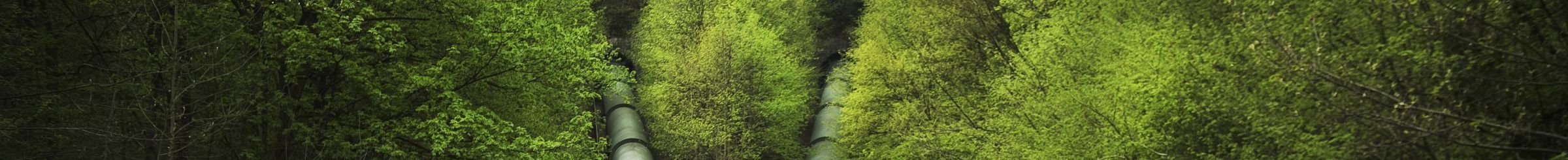 Pressure pipelines in green surroundings