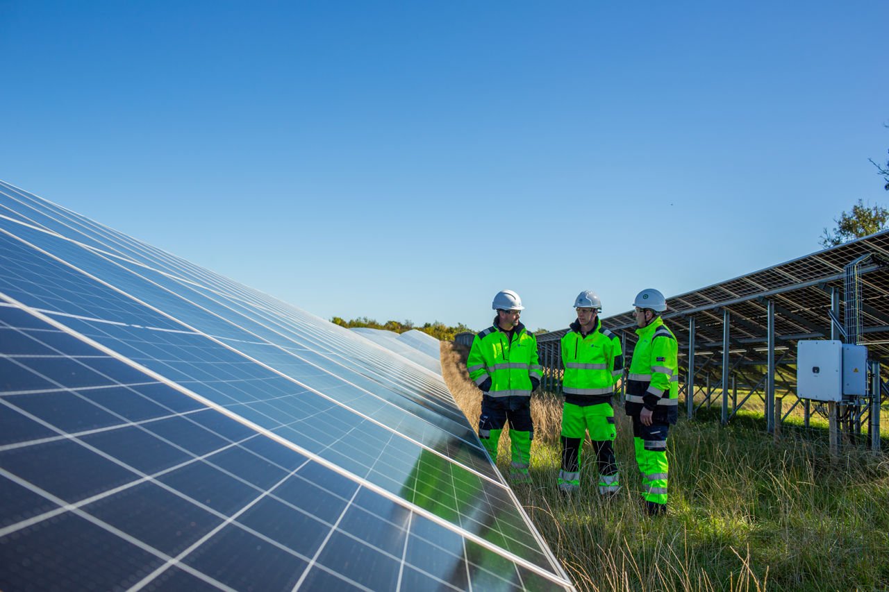 Three field workers on solar farm